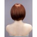 Wigs2you 全假髮 日本正品 短 直 蓬松 右偏分 清爽 甜美 修臉 可愛 時尚BOB頭 甜美可愛型W-131